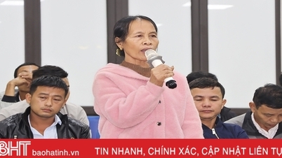 បន្ទាប់​ពី​មាន​ការ​ត្អូញត្អែរ​ពី​ប្រជាពលរដ្ឋ ក្រុម​មួយ​ត្រូវ​បាន​បង្កើត​ឡើង​ដើម្បី​ពិនិត្យ​កសិដ្ឋាន​ចិញ្ចឹម​ជ្រូក​ដែល​មាន​ការ​បំពុល​នៅ​ទីក្រុង Duc Tho។