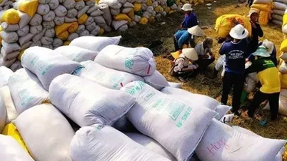 Vietnam ranks third in rice exports to Singapore.