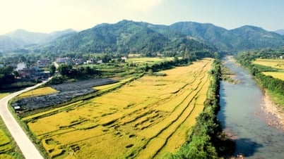 Весенние краски в меняющейся сельской местности
