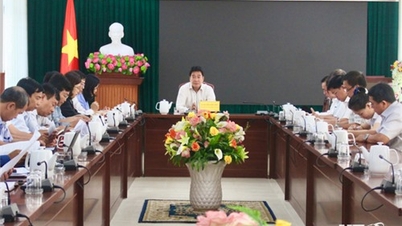 Provincial People's Committee meets to agree on information and propaganda plan for conference to announce planning and promote investment