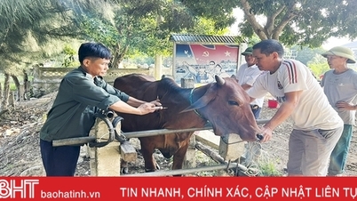 គ្រប់គ្រងយ៉ាងសកម្មនូវជំងឺរាតត្បាតដ៏គ្រោះថ្នាក់នៅក្នុងបសុសត្វ និងបសុបក្សី