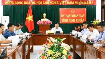 ថ្នាក់ដឹកនាំគណៈកម្មាធិការប្រជាជនខេត្តបានរៀបចំកិច្ចប្រជុំតាមប្រព័ន្ធអ៊ីនធឺណែតជាមួយស្ថានទូតហ្វាំងឡង់ប្រចាំនៅវៀតណាម