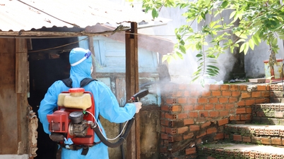 The number of dengue fever cases is constantly increasing.