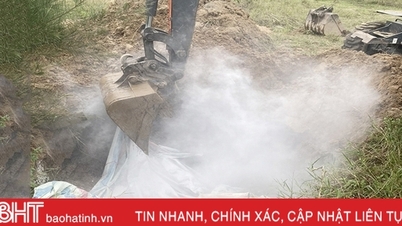 Nghi Xuan ប្រកាសតំបន់ដែលរងផលប៉ះពាល់ដោយជំងឺប៉េស្តជ្រូកអាហ្វ្រិក