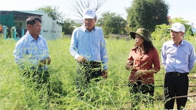 Phát huy truyền thống, sức mạnh đại đoàn kết toàn dân tộc, xây dựng quê hương Ninh Thuận ngày càng phồn vinh, văn minh, hạnh phúc