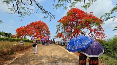 Unexpected most sought after tourist destination in Vietnam