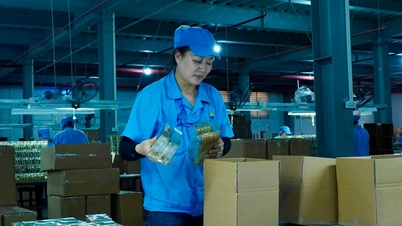 Kim Duong Consumer Company Limited invests 90 billion VND to expand production