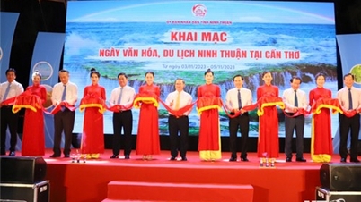 ពិធីបើក “ទិវាវប្បធម៌ និងទេសចរណ៍ Ninh Thuan” នៅទីក្រុង។ Can Tho ក្នុងឆ្នាំ 2023”