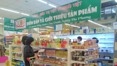 ក្វាងណាមចាប់ផ្តើមដំណាក់កាលកំពូលពីរនៅឆ្នាំ 2025