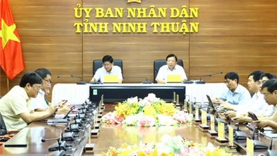 Hội nghị trực tuyến toàn quốc về thúc đẩy đầu tư công năm 2024