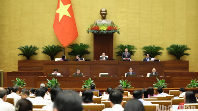 Press Release No. 19, 7th Session, 15th National Assembly