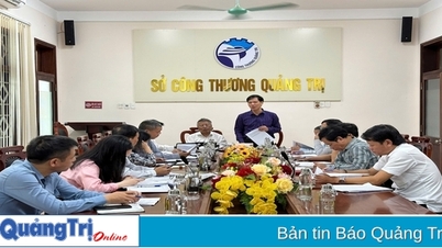 Thẩm tra kết quả thực hiện nhiệm vụ trọng tâm ngành công thương năm 2024 
