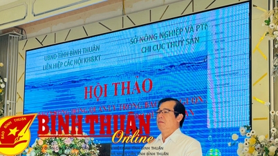 ពង្រីកការគ្រប់គ្រងសហប្រតិបតិ្តការលើការការពារធនធានជលផលតាមឆ្នេរសមុទ្រ