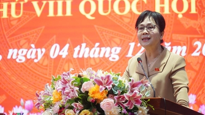 Đại biểu Quốc hội tiếp xúc cử tri tại huyện Diễn Châu