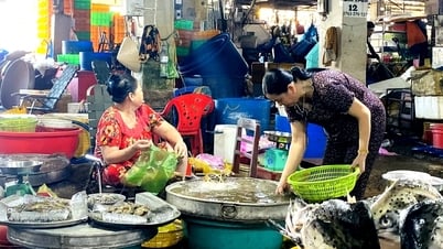 Phương án di dời tiểu thương bán củ quả, cá, gia cầm tại chợ Vĩnh Long