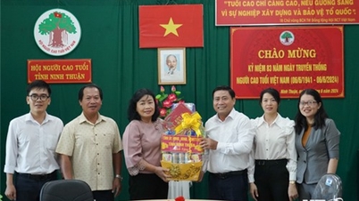 Thường trực Tỉnh ủy thăm, tặng quà các đơn vị, người cao tuổi
