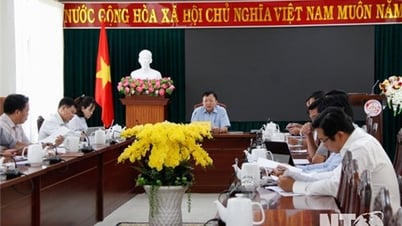 UBND tỉnh họp nghe báo cáo kết quả thực hiện các nội dung liên quan đến lĩnh vực đất đai