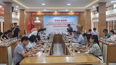 សិក្ខាសាលាស្តីពីប្រព័ន្ធអេកូឡូស៊ីនៃការប្រើប្រាស់ FTA រួមទាំងកិច្ចព្រមព្រៀង EVFTA ក្នុងវិស័យស្បែក និងស្បែកជើងនៅទីក្រុង Hai Phong