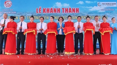 NTO - សម្ពោធគម្រោងបរិស្ថាននិរន្តរភាពទីក្រុងឆ្នេរសមុទ្រ - គម្រោងអនុទីក្រុង។ ផាន់ រ៉ង