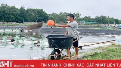 កសិករ​បង្ការ​ជំងឺ​បង្កង​ក្រោយ​ភ្លៀង​ធ្លាក់​ខ្លាំង