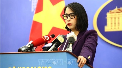 Việt Nam lên án hành vi tấn công bạo lực, vô nhân đạo trên các tuyến hàng hải quốc tế