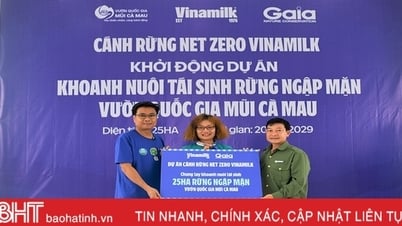 Vinamilk បង្កើតជា "Net Zero Forests"