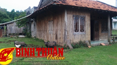ឃុំ​ខ្ពស់​ខិតខំ​ឈាន​ទៅ​ដល់​គោលដៅ​ជនបទ​ថ្មី។