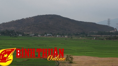 បៃតងនៅជនបទនៃភូឡាក់