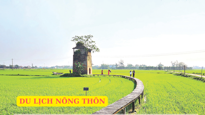 Làm gì để giữ chân du khách?