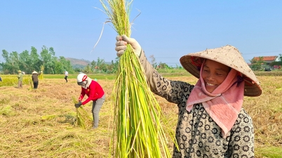 Kinh Mon mempromosikan nilai 'biji-bijian emas'