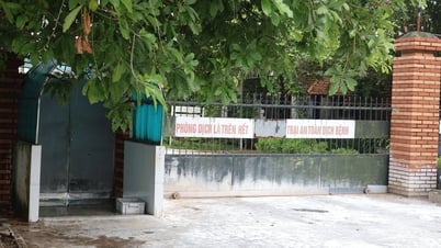 Hải Dương xây dựng hàng rào chắn "bão" dịch tả lợn châu Phi