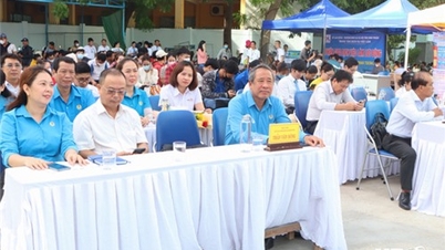 NTO - Ngày hội việc làm