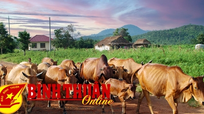 ការផ្តល់ប្រាក់កម្ចីប្រកបដោយប្រសិទ្ធភាពតាមរយៈសហភាពស្ត្រី