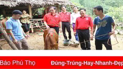 ប្រសិទ្ធភាពនៃយុទ្ធនាការ "អង្គការនីមួយៗ បុគ្គលនីមួយៗត្រូវបានភ្ជាប់ជាមួយអាសយដ្ឋានមនុស្សធម៌"