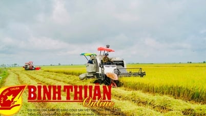 សក្តិសមជាសសរស្តម្ភសេដ្ឋកិច្ចមួយក្នុងចំណោម "សសរស្តម្ភសេដ្ឋកិច្ច"