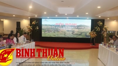 Introducing Lang Son tourist destination in Binh Thuan