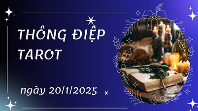 Thông điệp Tarot ngày 20/1/2025 cho 12 cung hoàng đạo: Kim Ngưu bốc lá...