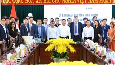 UBND tỉnh làm việc với Đoàn doanh nghiệp Hàn Quốc