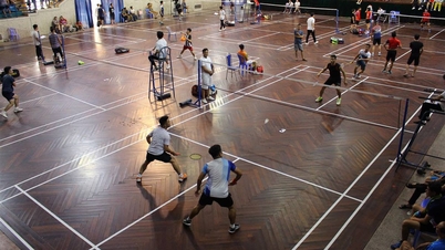 Giải Cầu lông Cung Văn hóa Thể thao Thanh niên Hải Phòng năm 2024