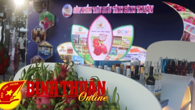 International integration promotes economic development