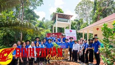 Receiving the project "Sweet fruit of relics" from Tay Ninh youth