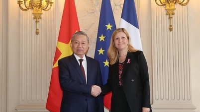 Vietnam and France aim for new heights of strategic partnership