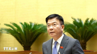Arrange and restructure State investment capital in enterprises