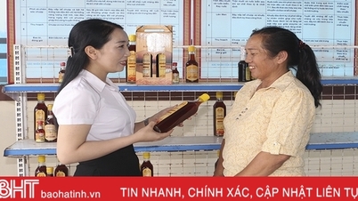 "មេដឹកនាំ" របស់ស្ត្រីនៃឃុំត្រូវបានឧទ្ទិសដល់ចលនាចាប់ផ្តើម