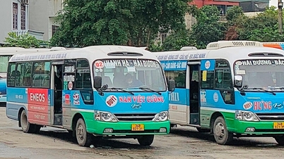 ចាប់ពីថ្ងៃទី 20 ខែមីនា ផ្លូវរថយន្តក្រុងក្នុងខេត្តលេខ 02 Hai Duong - Thanh Ha នឹងត្រូវផ្លាស់ប្តូរ។