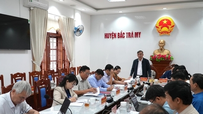 Giám sát việc thực hiện kế hoạch phát triển kinh tế