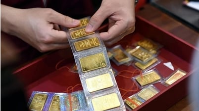 Sẽ đấu thầu 16.800 lượng vàng miếng SJC với giá tham chiếu 81,8 triệu đồng/lượng