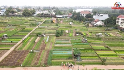 Developing rural tourism in Quang Nam