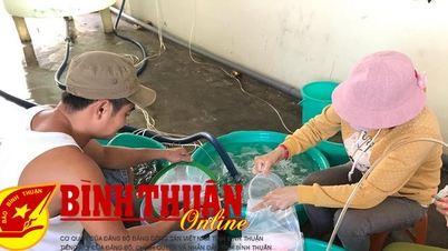 គ្រឿងបរិក្ខារជាច្រើនអនុវត្តវិទ្យាសាស្ត្រ និងបច្ចេកវិជ្ជា ដើម្បីកែលម្អគុណភាពគ្រាប់ពូជបង្គា។