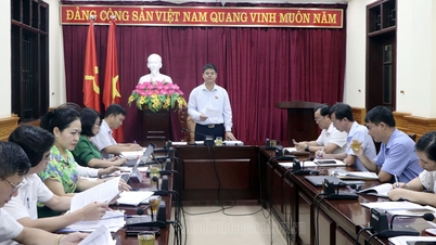 Thẩm tra nội dung văn hóa, xã hội trình kỳ họp thứ 16, HĐND tỉnh